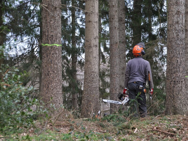 Besuch beim Förster FrauenForumPlus